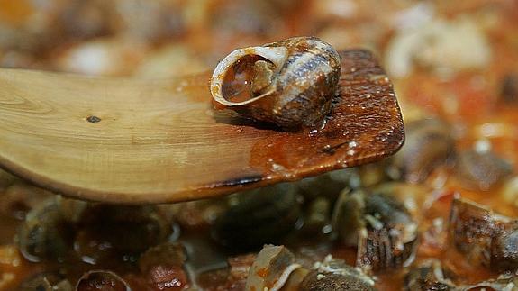 Caracoles para las grandes ocasiones